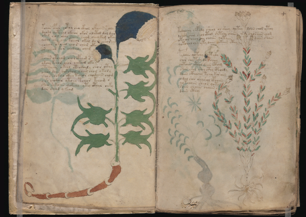 Unknown author, Voynich Manuscript, 1400e