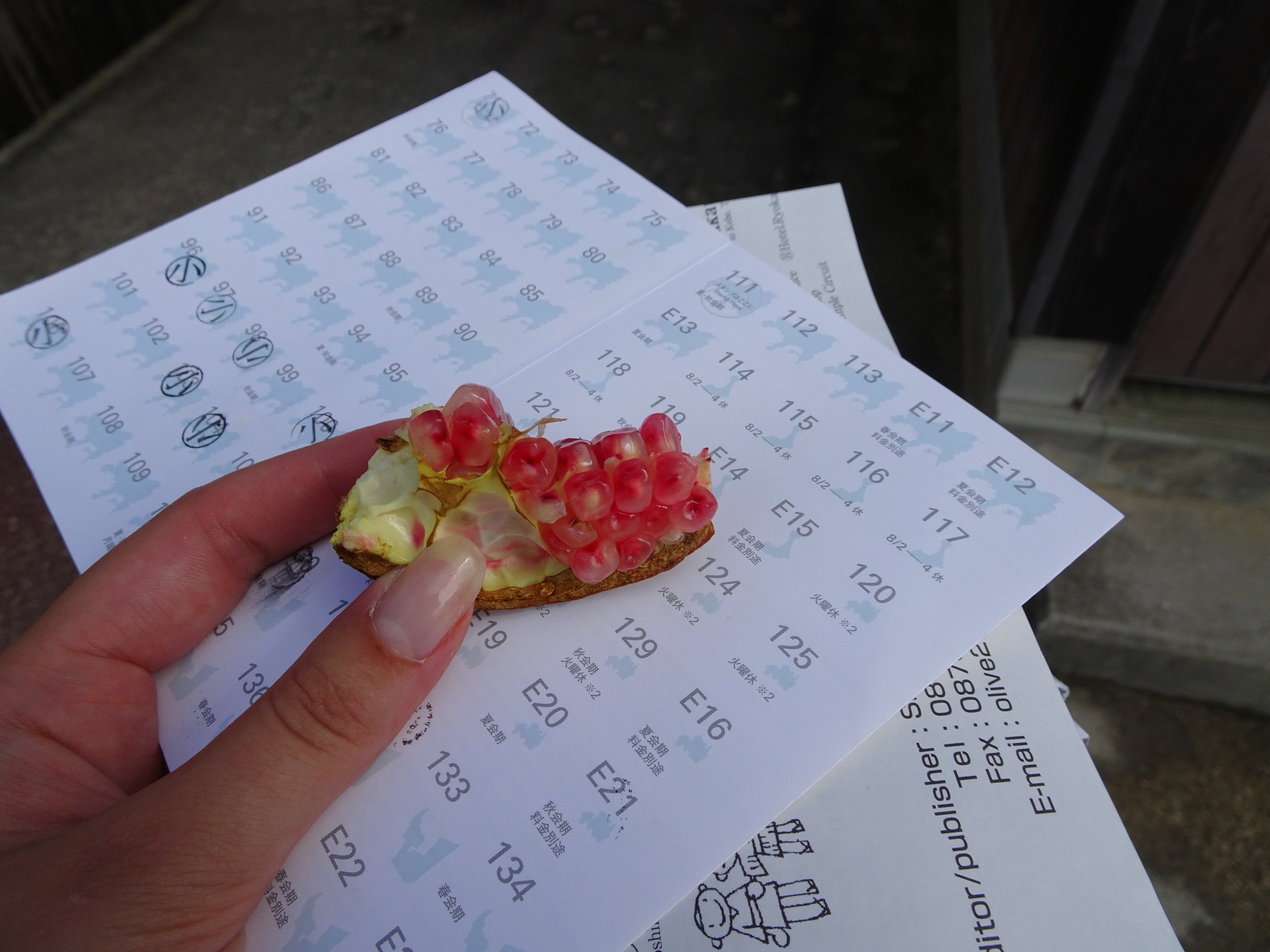 Pomegranate as gift, Shodoshima