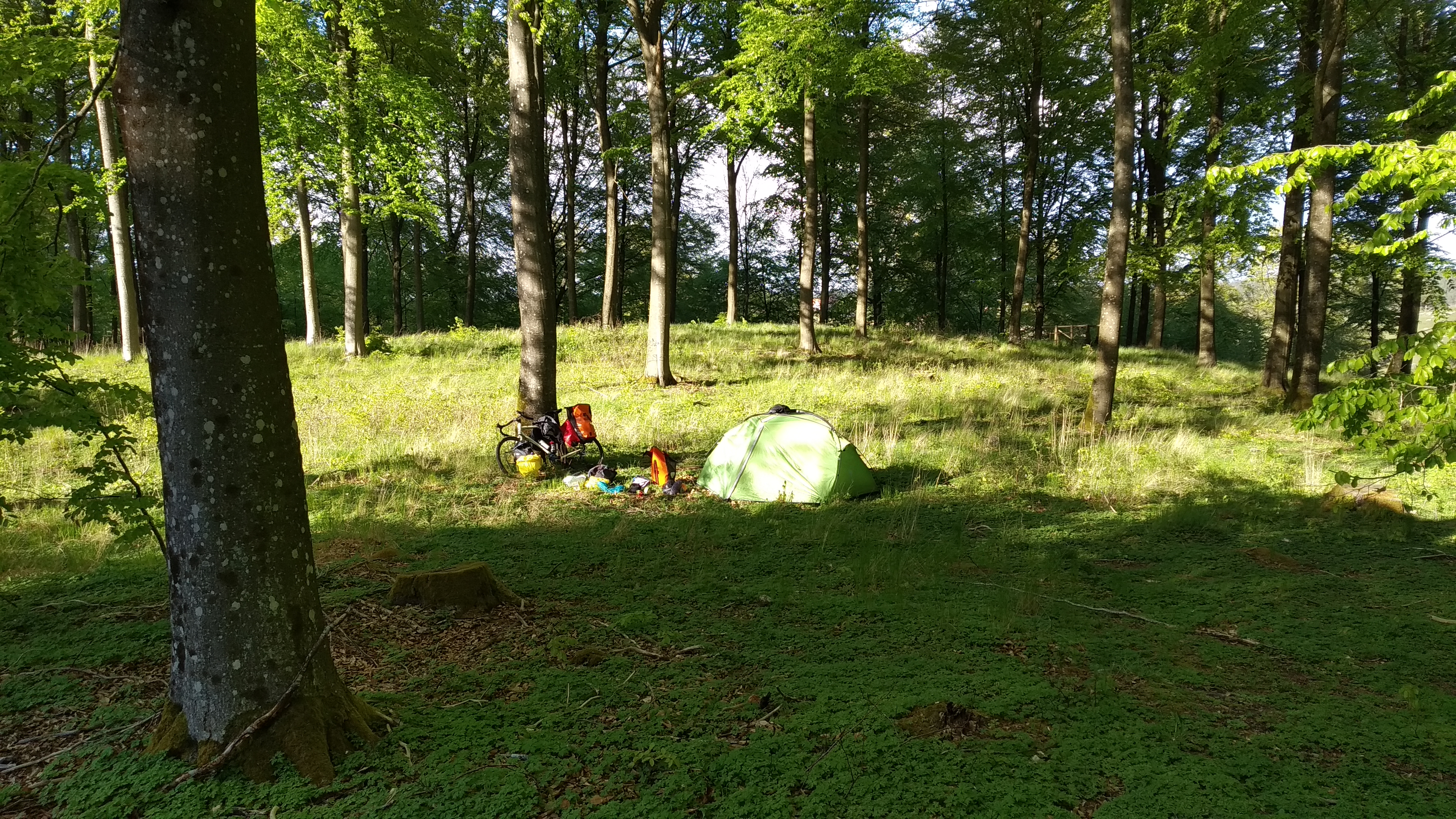 klajsdl;fkjasd