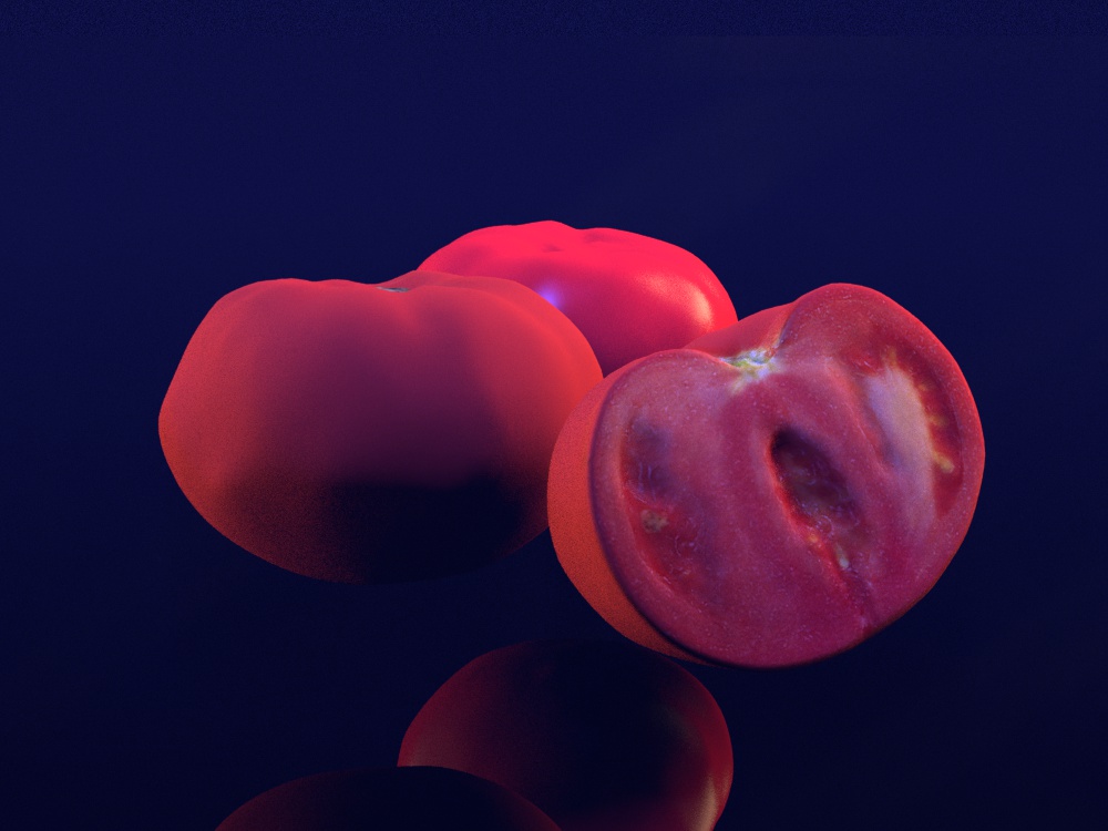 Image by Marc van den Berg