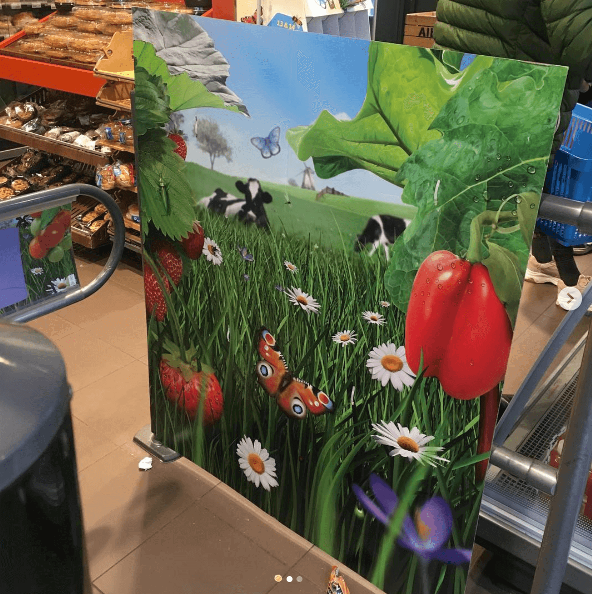 Hao K. (2020). Decoration in Albert Heijn, The Hague. An example of commercial representation of nature.