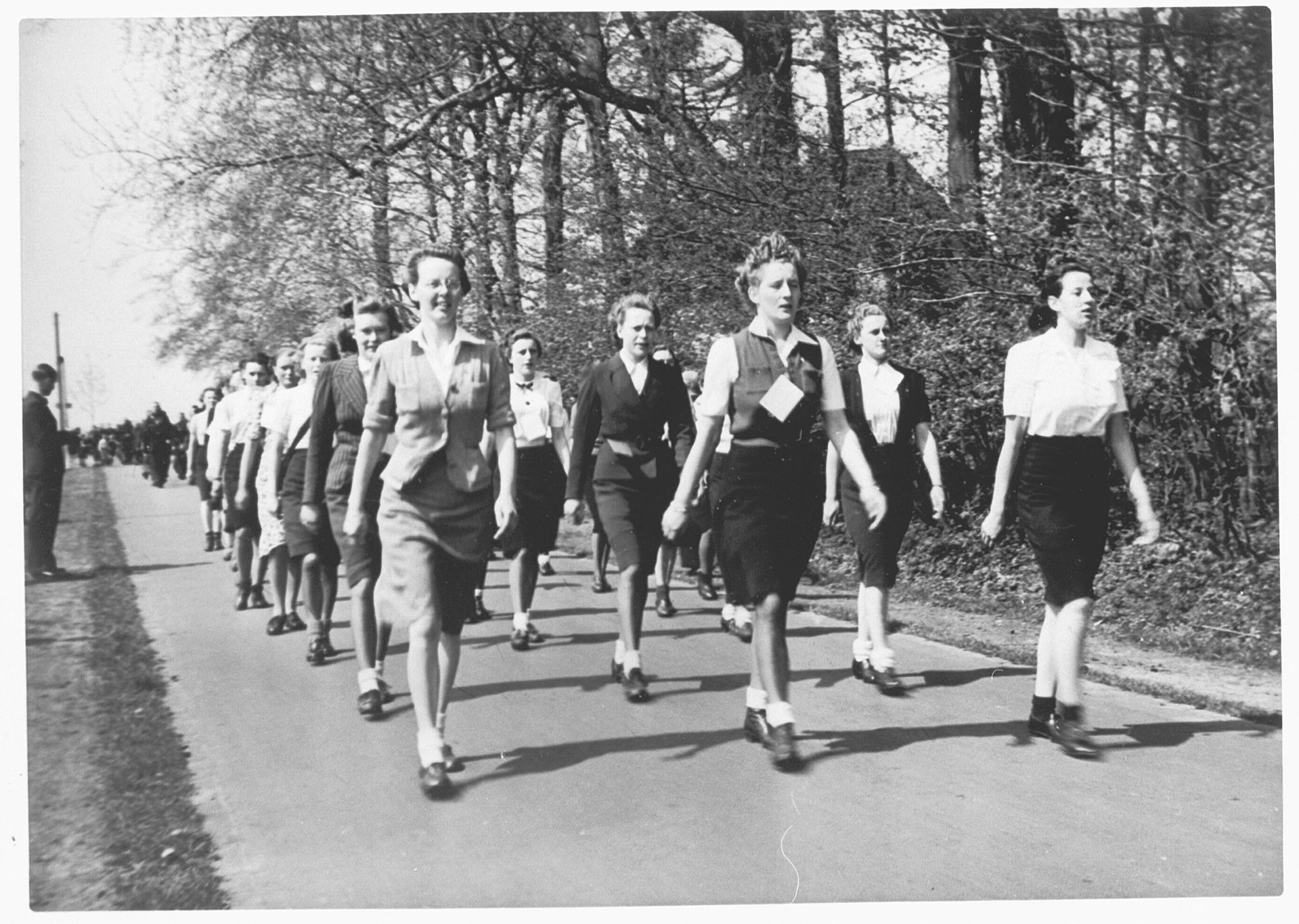 Descriptive text about the image