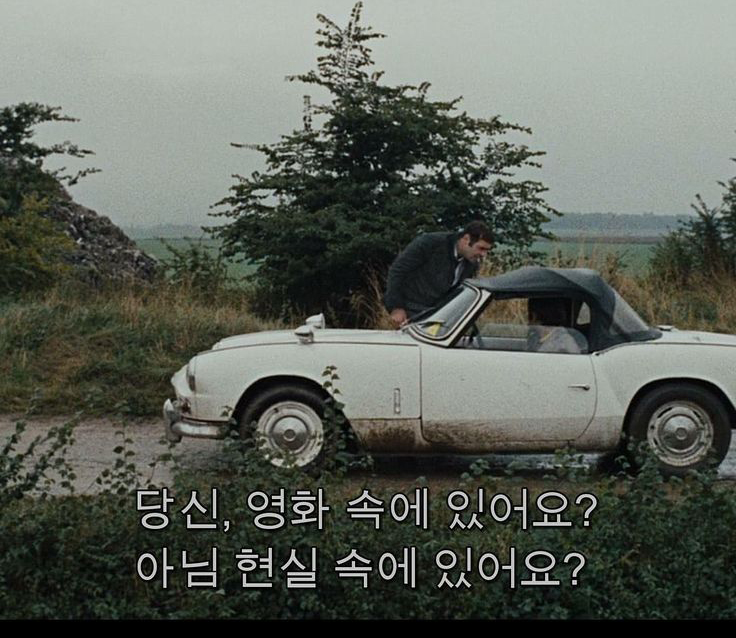 In the Mood for Love