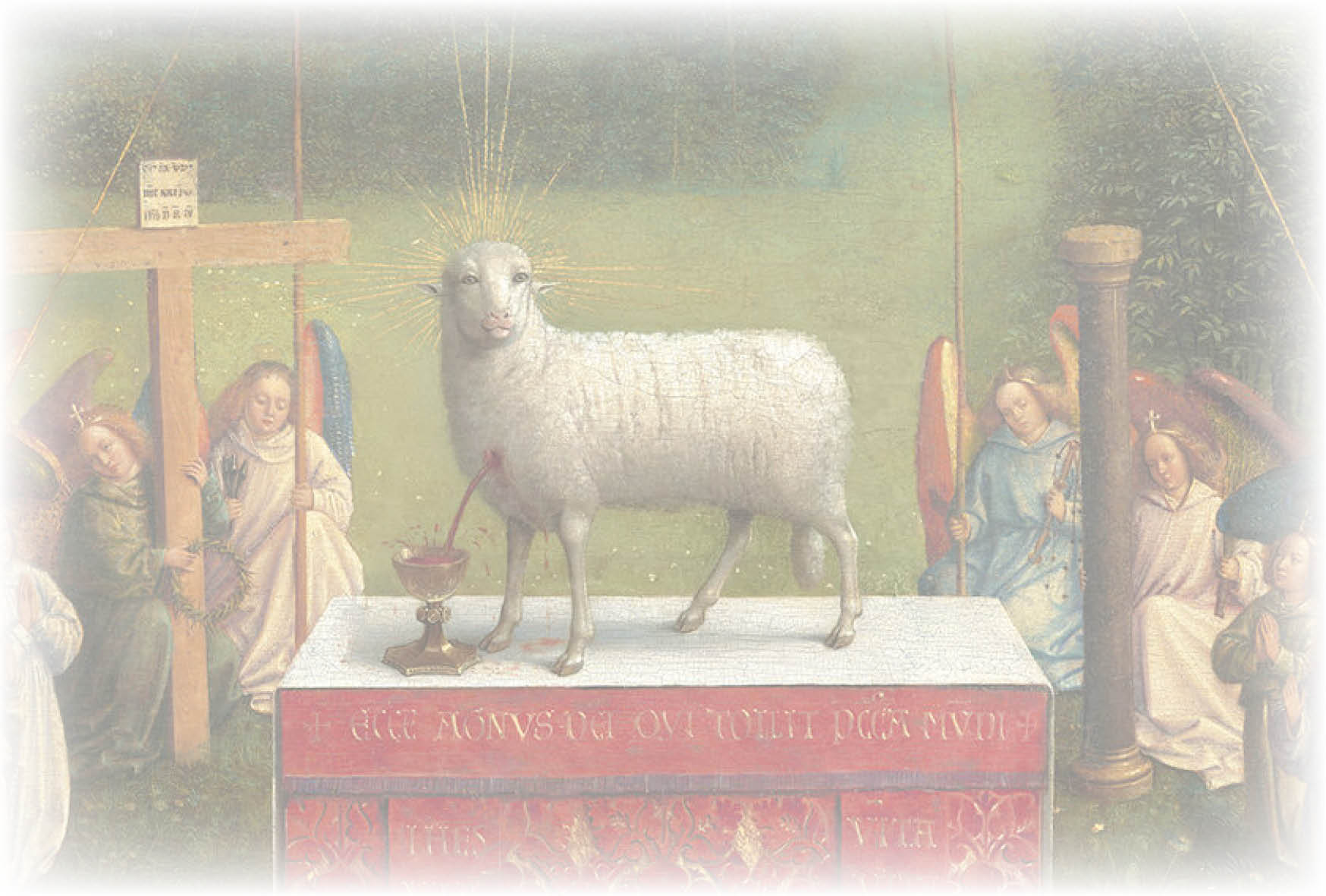lamb2