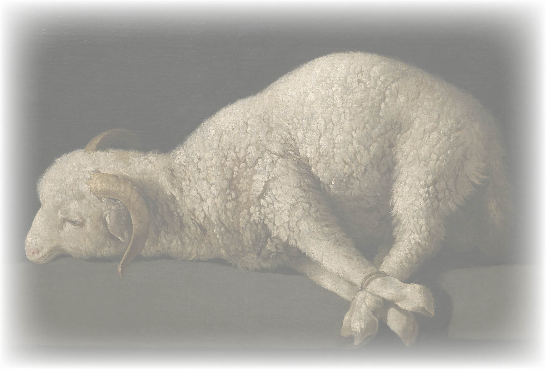 lamb2
