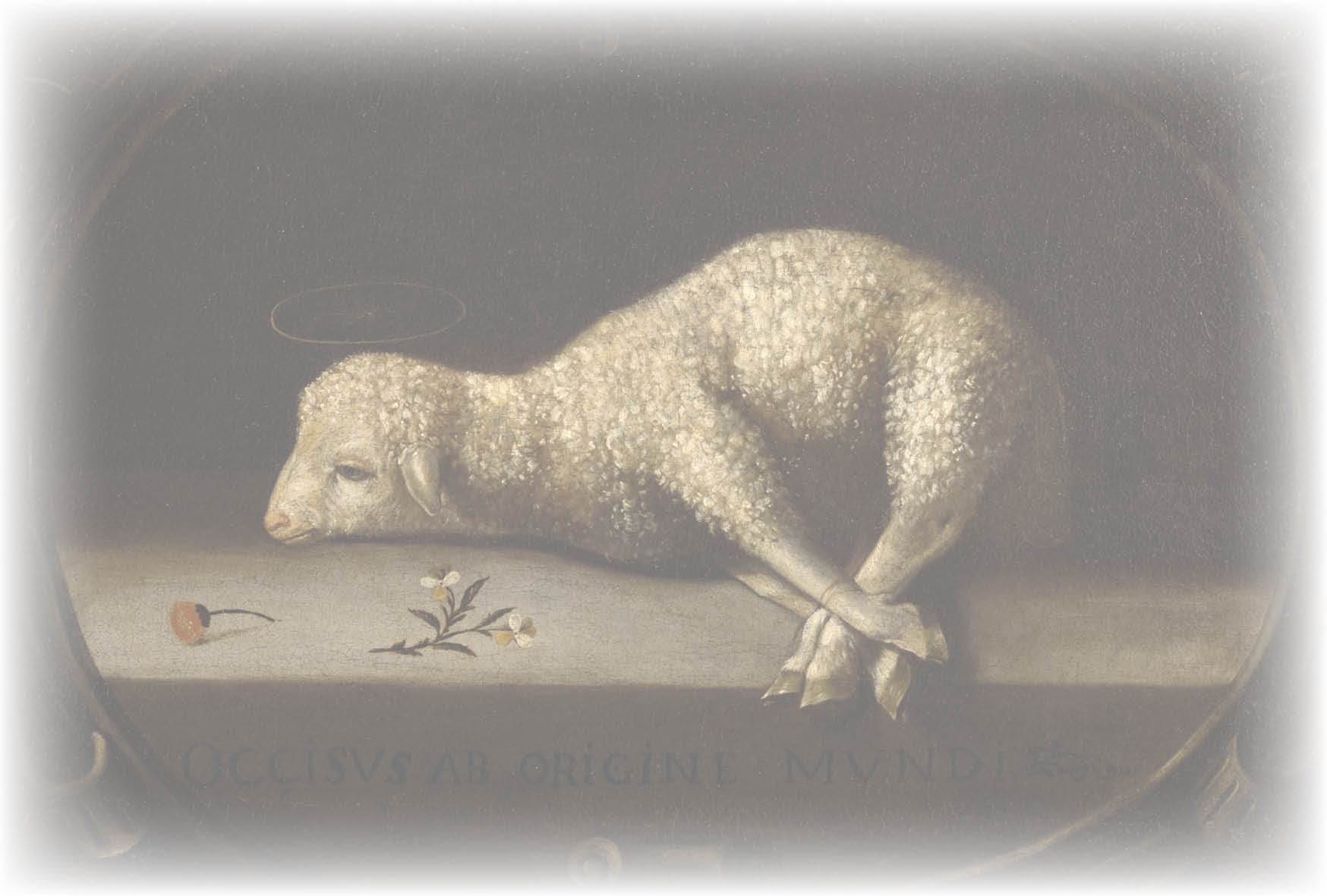lamb2