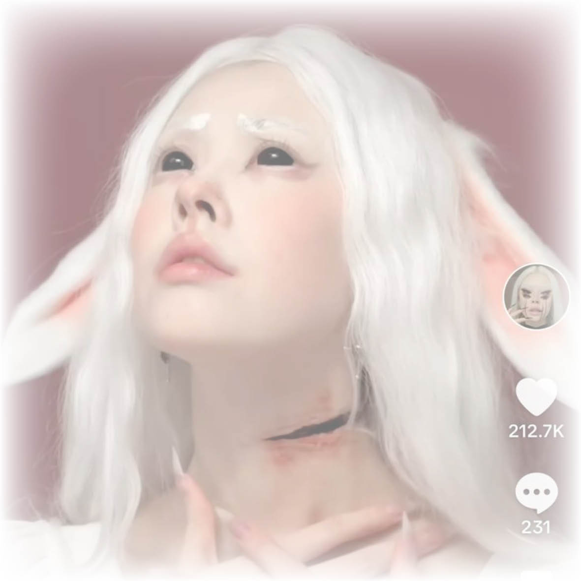 lamb3