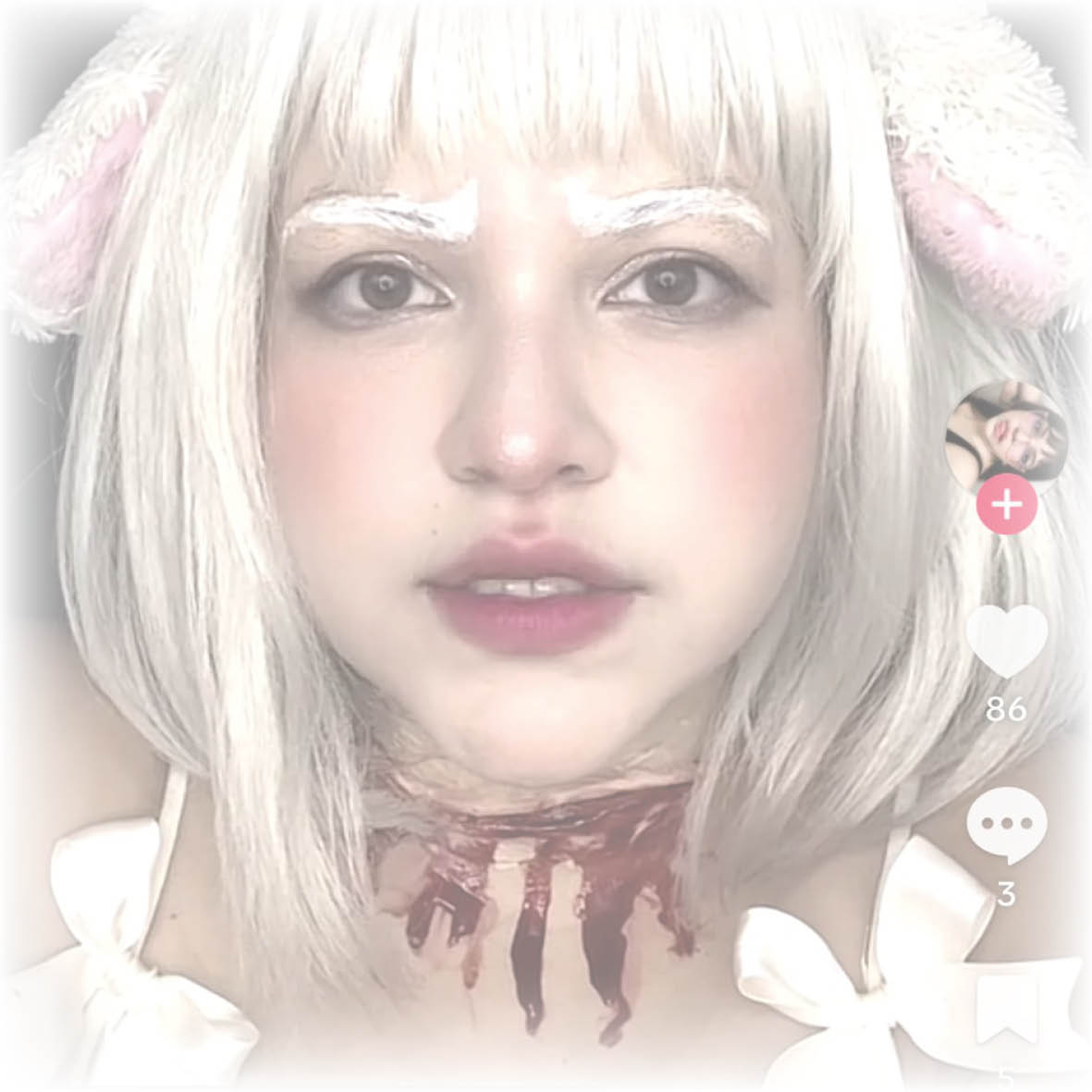 lamb3
