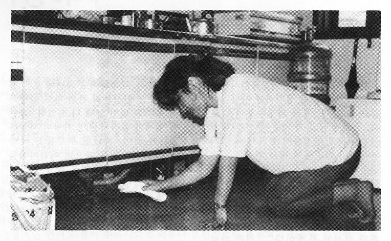 Chapter 0 image 3